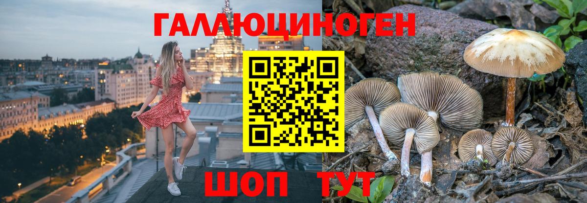 Сочи  Псилоцибиновые грибы Psilocybine cubensis  Вход с VPN  Псилоцибиновые грибы мухоморы 